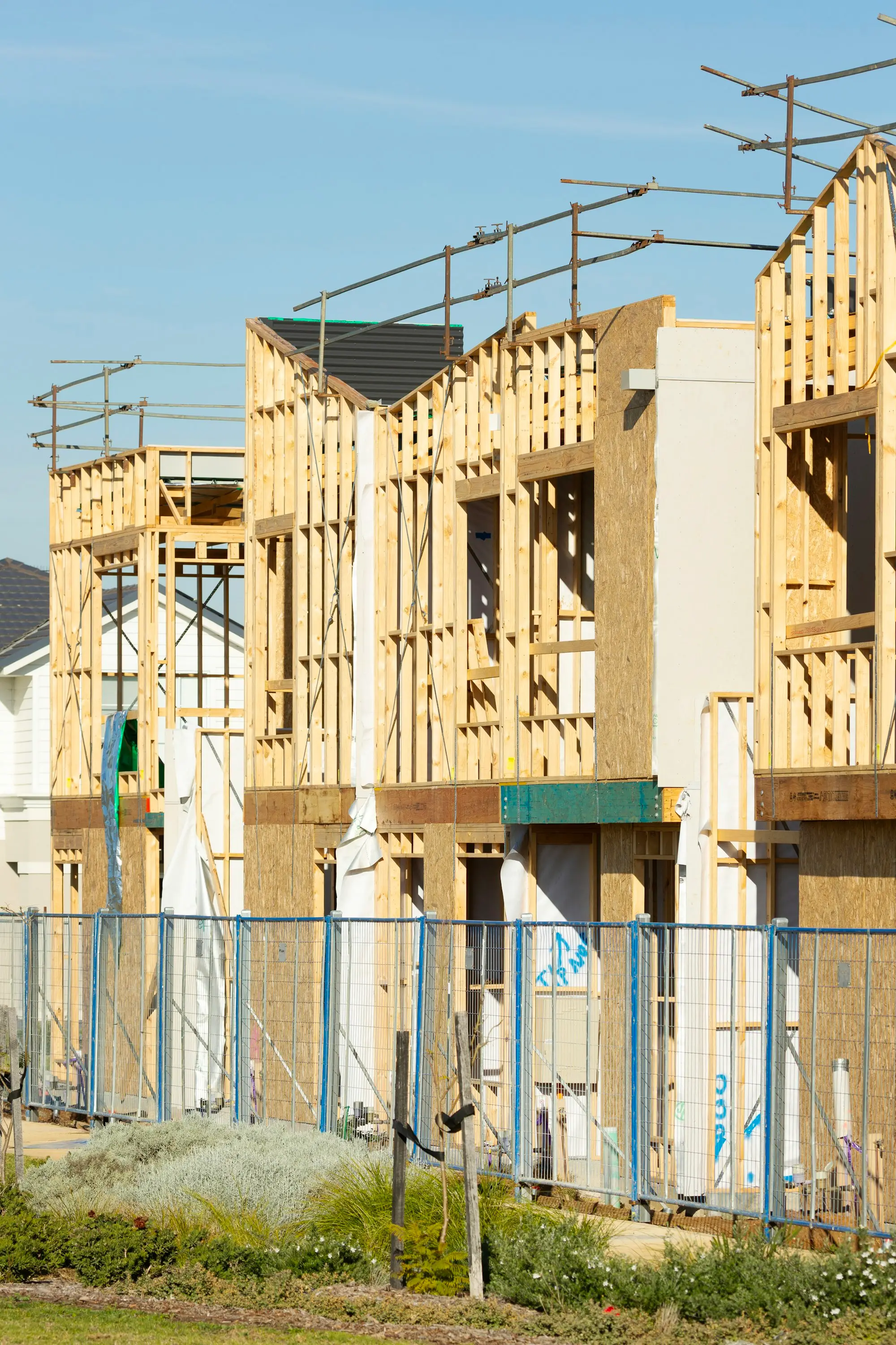 New homes under construction with exposed timber framing and roof trusses on a development site