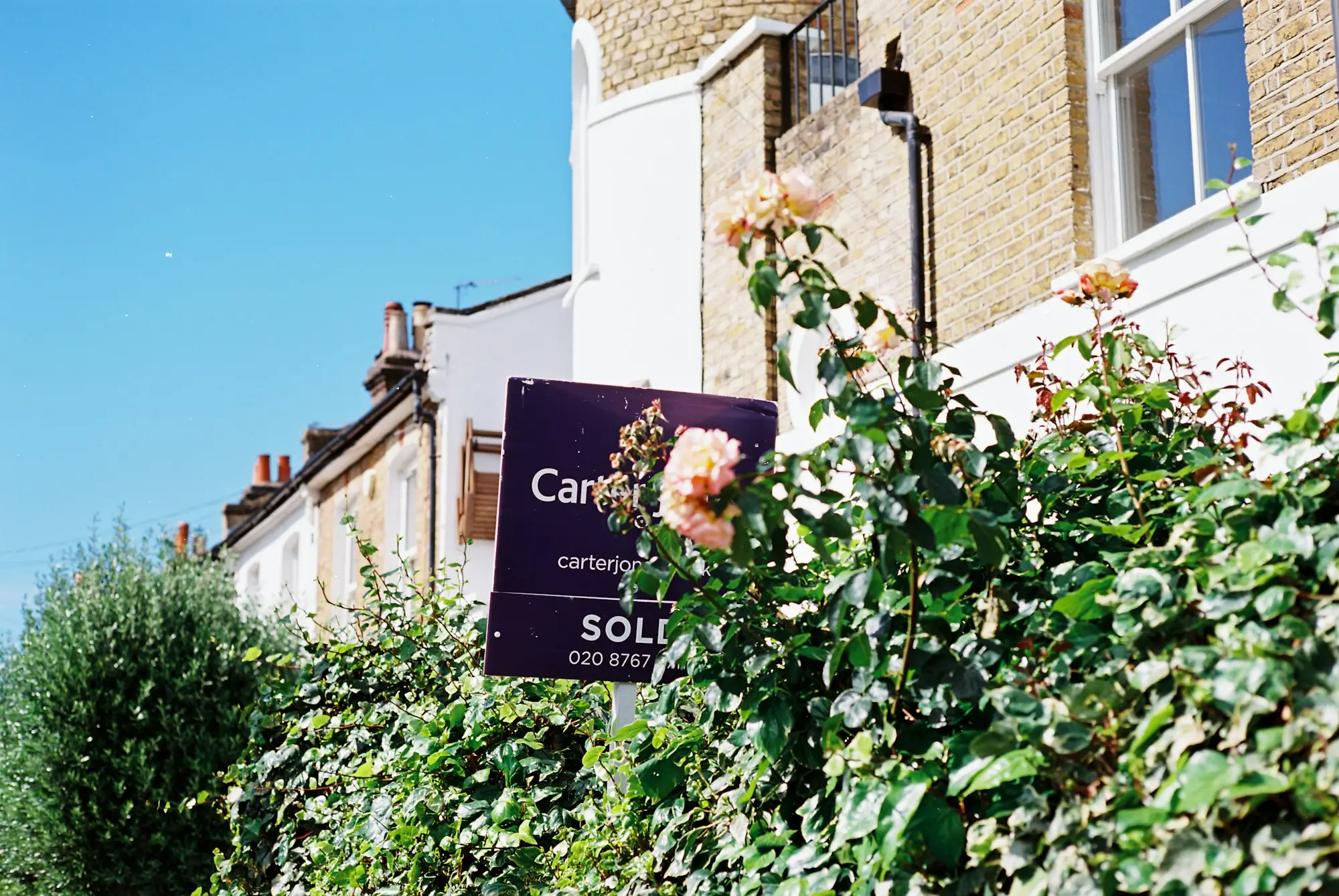 Real estate sold sign standing in front of a house with roses and a hedge