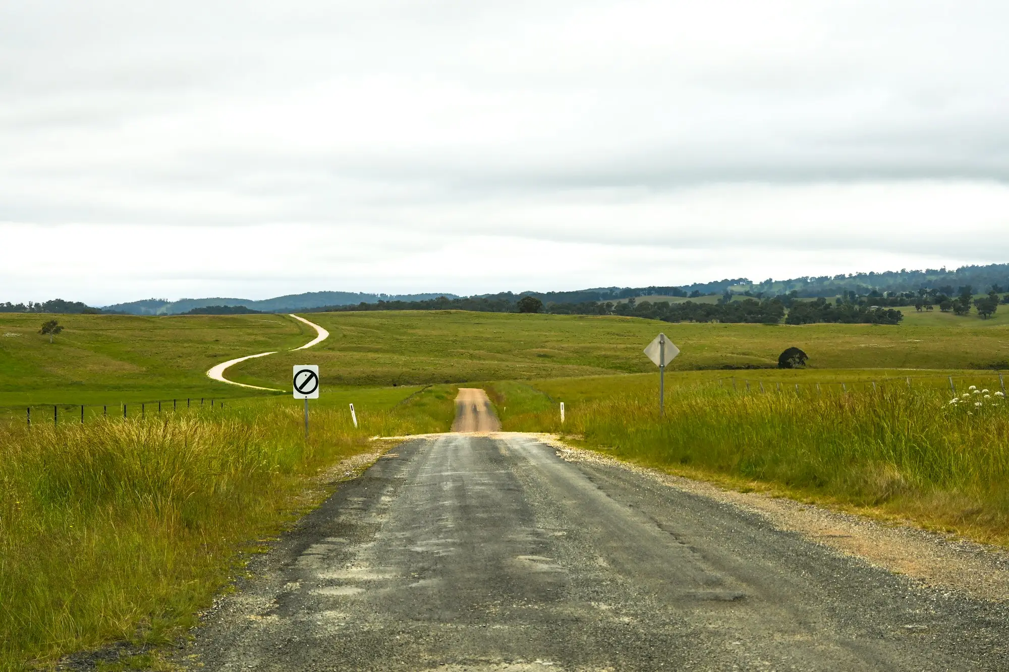 Dirt farm road winding through green grassy paddocks on rural land in New South Wales