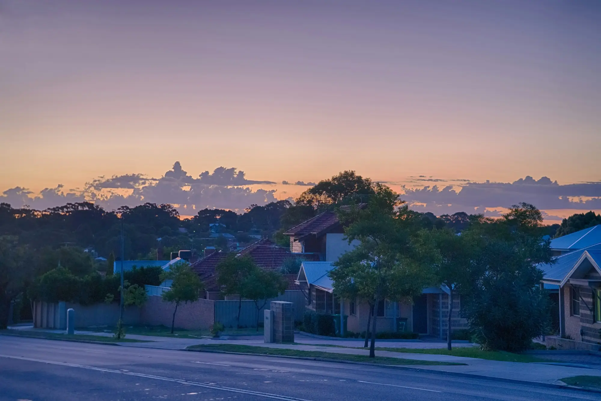 Tree-lined suburban street in Palmyra, Perth, under a peach and purple sunset sky